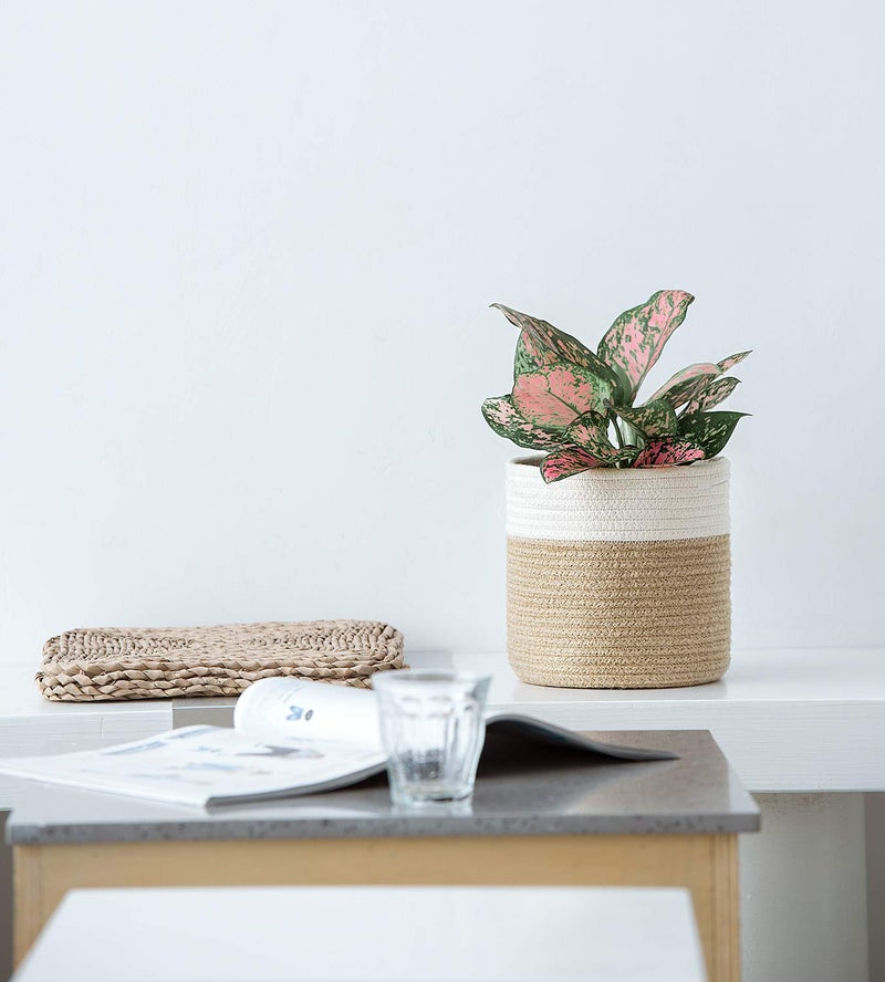 Dahey Small Cotton Rope Plant Basket Woven Plant Coiled Basket for Up to 7" Planter, Decorative Flower Pot Cover Closet Storage Bin Table Desk Organizer for Home Decor, White and Beige - Image 3